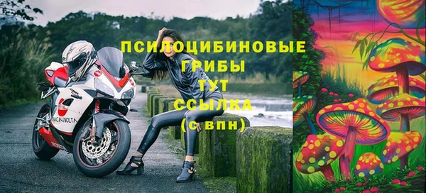 Альфа ПВП Алексин
